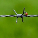 Tiere_DDD2786_Bildgröße ändern